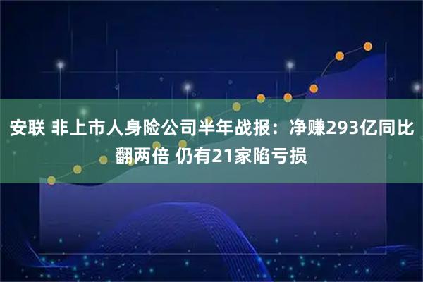 安联 非上市人身险公司半年战报：净赚293亿同比翻两倍 仍有21家陷亏损
