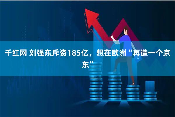 千红网 刘强东斥资185亿，想在欧洲“再造一个京东”