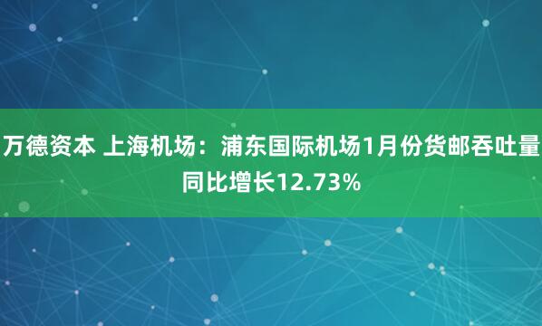 万德资本 上海机场：浦东国际机场1月份货邮吞吐量同比增长12.73%