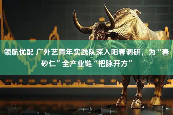 领航优配 广外艺青年实践队深入阳春调研，为“春砂仁”全产业链“把脉开方”